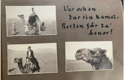 Birgit Sparre öknen kameler